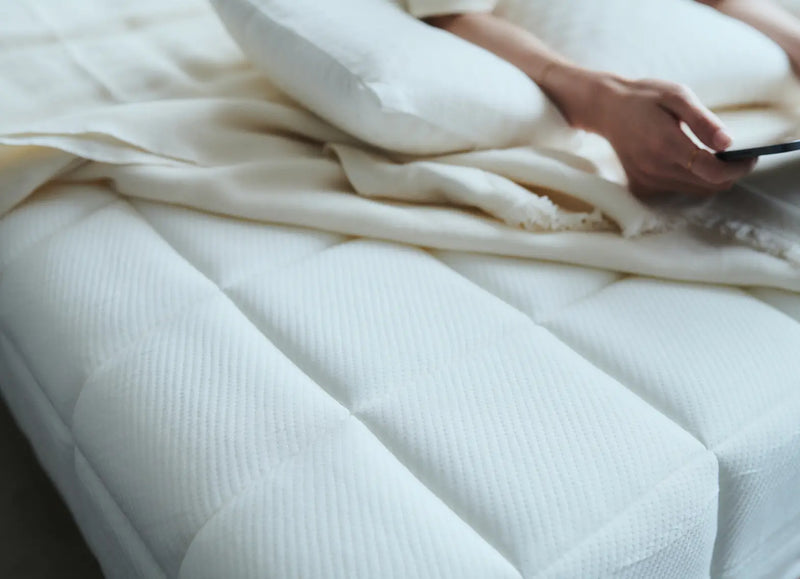 2_800x.webp?v=1758549599 2_800x.webp?v=1758549599