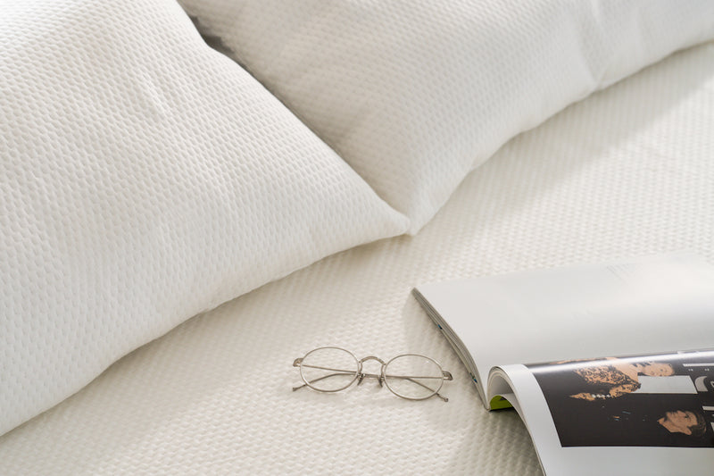 DSC02553_800x.jpg?v=1753356627